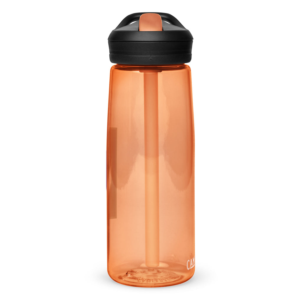 Northwestern Sports water bottle