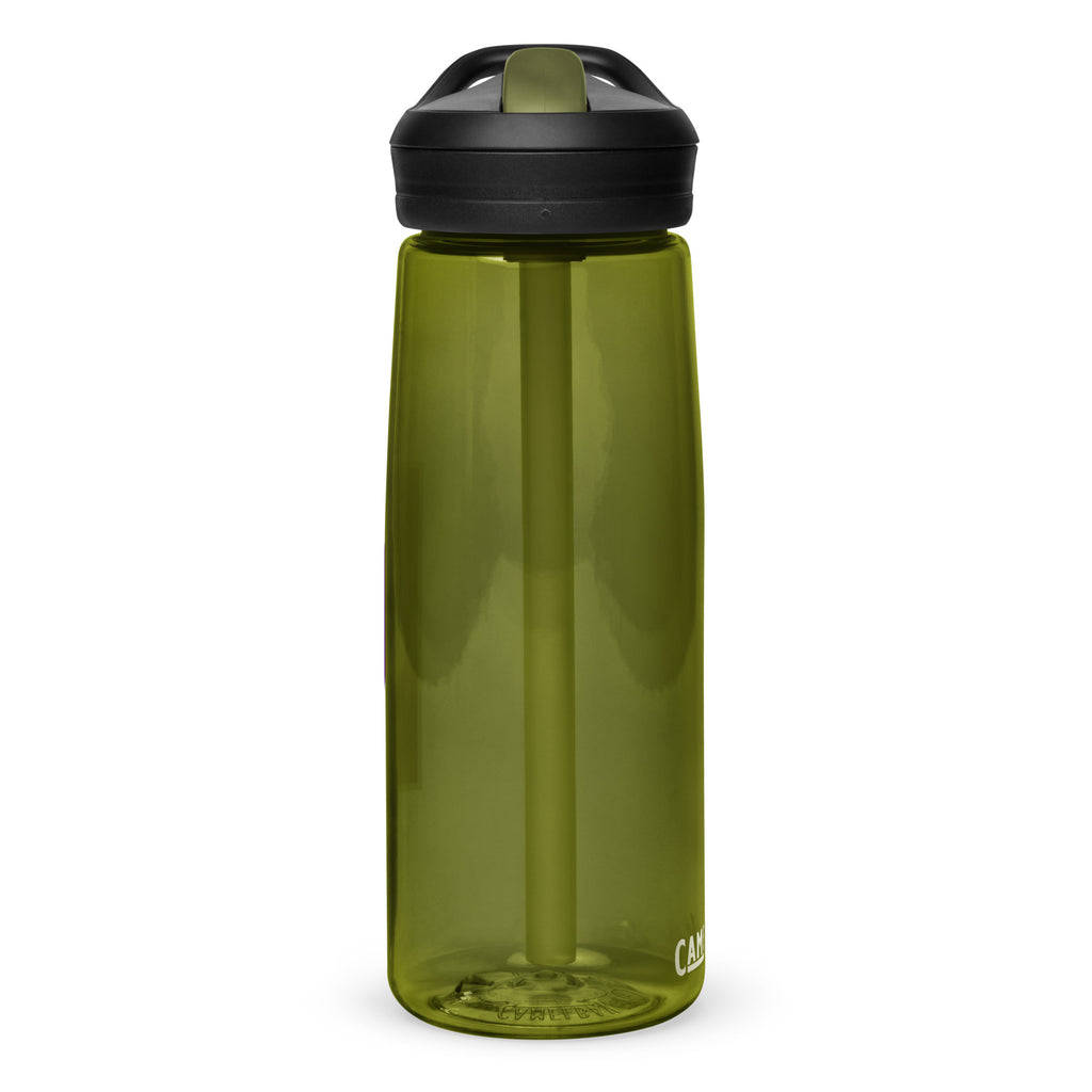 Northwestern Sports water bottle