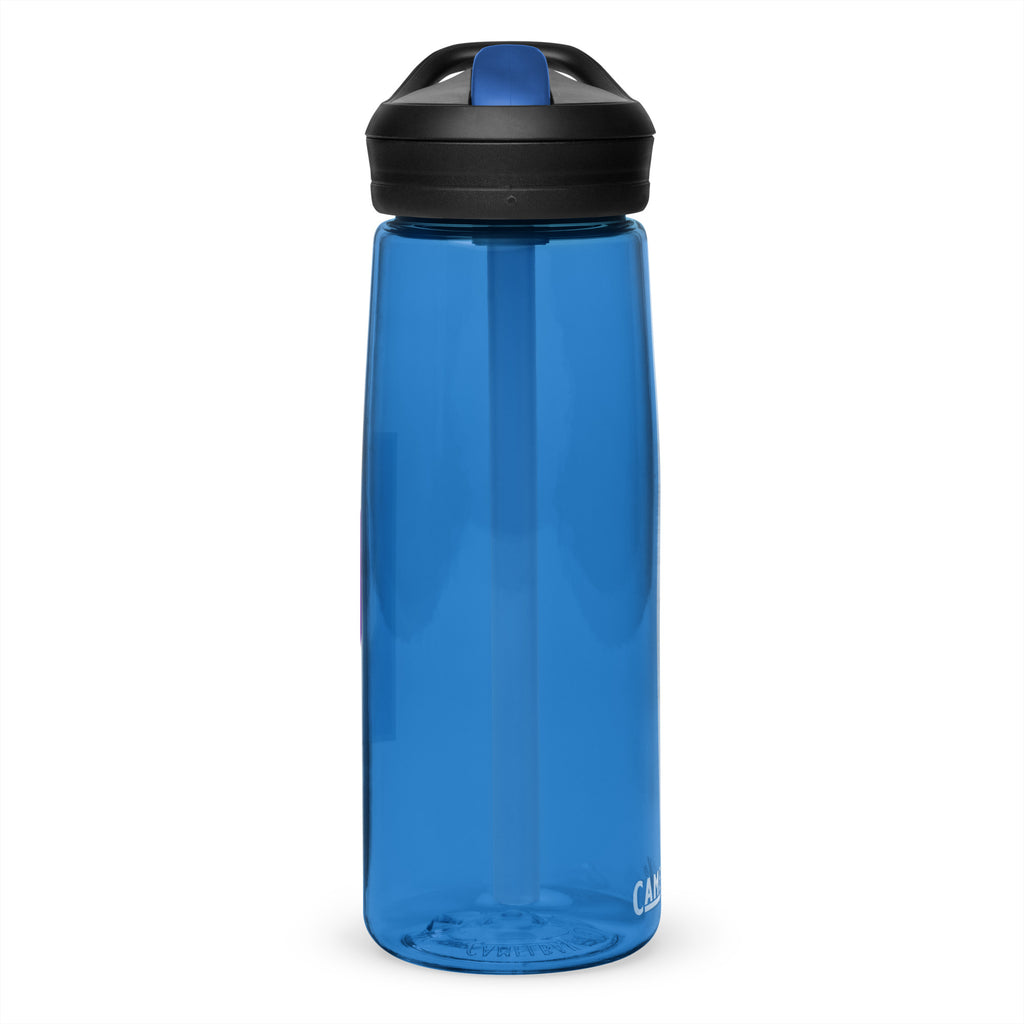 Northwestern Sports water bottle