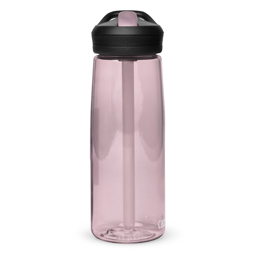 Northwestern Sports water bottle