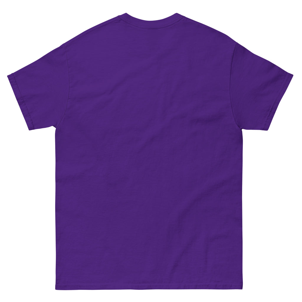 Northwestern Variation Ticket Tee