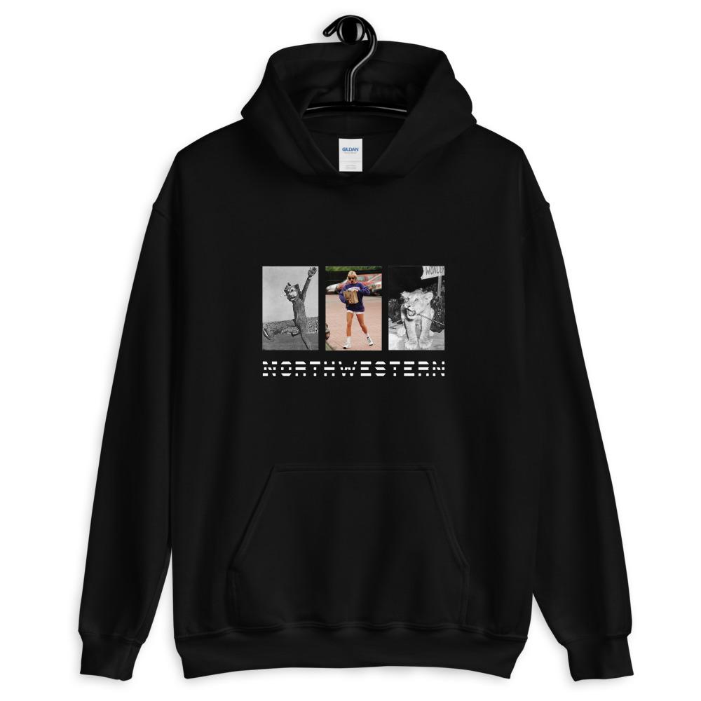 Princess Diana and The Cats Hoodie